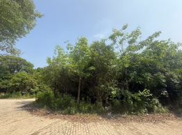 ̫���б��ؽ���·̫�ָ���ά�޹�����Ǯ�Ҿ׶��������ά����·�ؿ��̻���ľһ��������嵥��