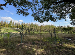 λ̫и˽600̫԰ڶؼϹȨ